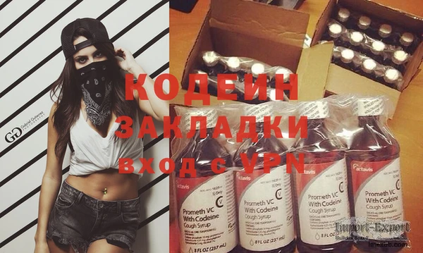 мдпв Краснослободск