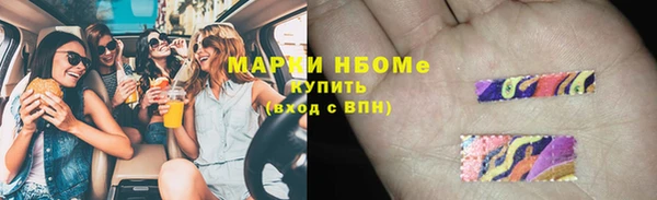 мдпв Краснослободск