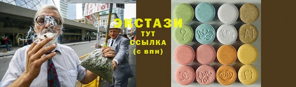 мдпв Краснослободск