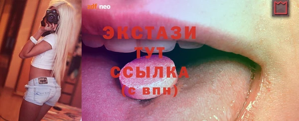 мдпв Краснослободск