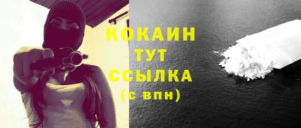 мдпв Краснослободск