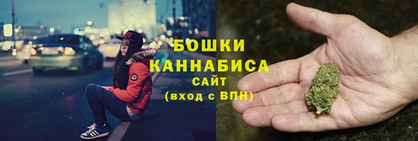 мдпв Краснослободск