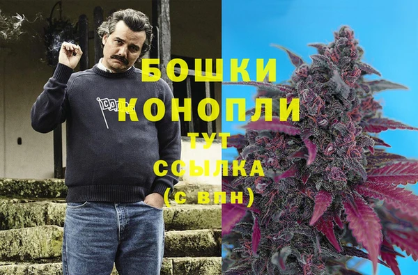 мдпв Краснослободск