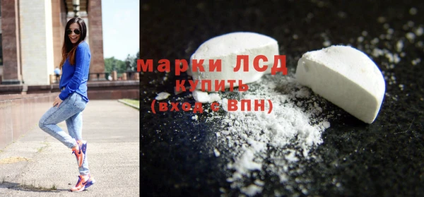 мдпв Краснослободск