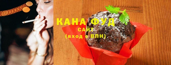 мдпв Краснослободск