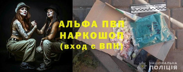 мдпв Краснослободск