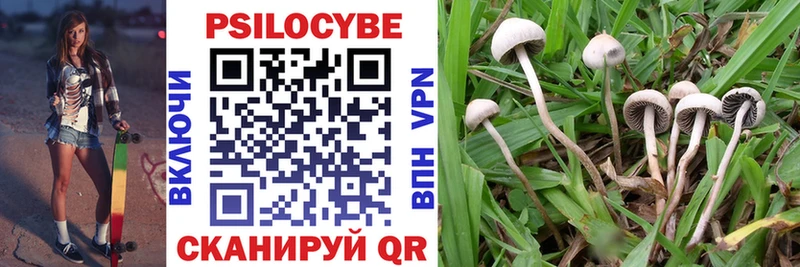 Псилоцибиновые грибы Magic Shrooms  Купить где  Благовещенск 
